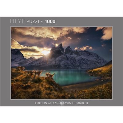 Spiel 3133.0