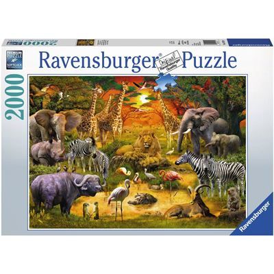 Spiel 3162.0